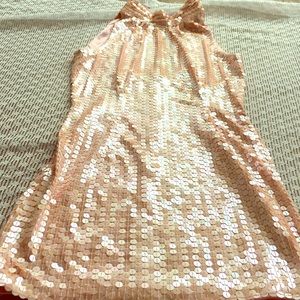 Iight pink Sequence Dress